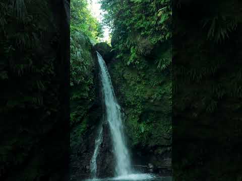 2022 Rookie Of The Year Christen Harper's Gorgeous Photoshoot in Dominica