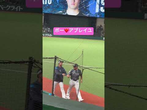 手繋ぎデート中！？ボーとアブレイユ #ライオンズ #プロ野球 #ショート動画 #ベルーナ#ピッチャー