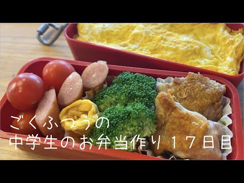 １７日目♫ごく普通の中学生のお弁当づくり♫オムライス弁当♫