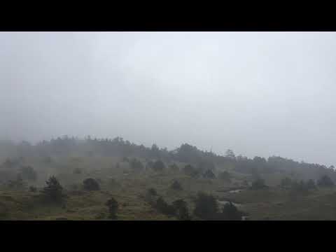 合歡山 讓人沉醉的雨景