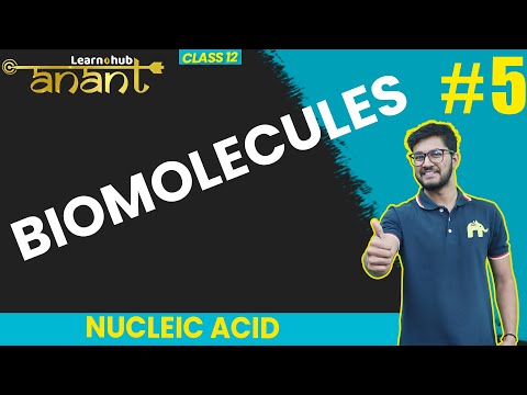 BioMolecules Class 12 Chemistry NCERT Chapter 10 #5 | Nucleic Acid | Anant Batch