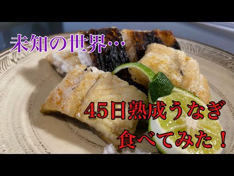 【うなぎ白焼き】未知の世界！45日熟成うなぎ食べてみた！#料理#和食#ミシュラン#熟成