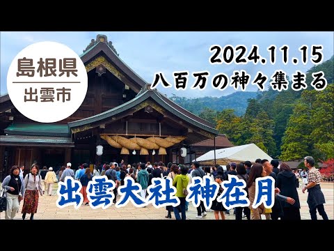 【出雲大社】神在月 全国から集まりし八百万の神々に会いに出雲大社へ 2024.11.15