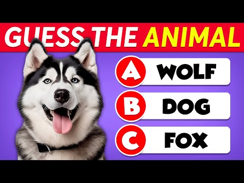 General Knowledge Questions About Animals! 🐵🧠🤯 Animals Knowledge Trivia Questions and Answers