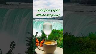 Доброе утро! Будьте здоровы! Музыкальная открытка #доброеутро #сдобрымутромоткрыткимузыкальные #шорт