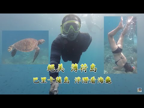 薄荷島海上行程 如何參加海龜團? 黑珊瑚巴里卡薩Balicasag Island 【絕美薄荷島】大疆 Osmo action 3 電眼帥偉