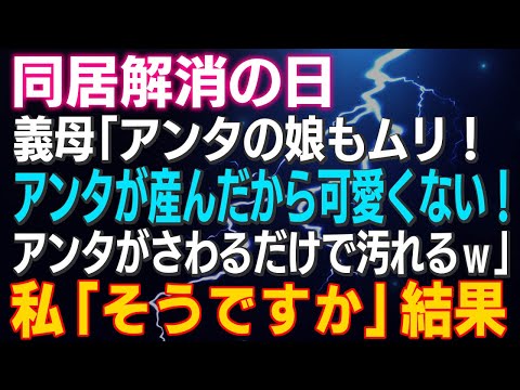 【スカッとする話】同居解消の日 義母「アンタの娘もムリ！アンタが産んだから可愛くない！アンタがさわるだけで汚れるｗ」私「そうですか」結果