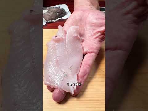 John Dory ≒ Matodai [ASMR] #shorts