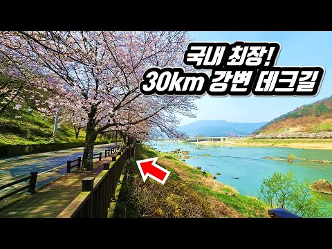 The Longest and Most Wonderful Flower Trail Trekking Course in Korea