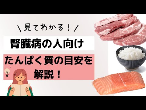 【管理栄養士がゆっくり解説】腎臓病の人の1日に必要なタンパク質の量ってどのぐらい？無理をしないタンパク質制限の食事を紹介！