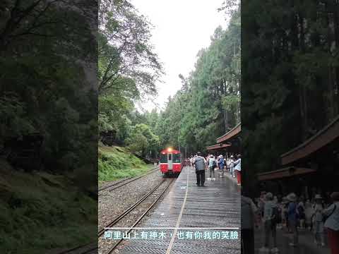 正一放鬆遊 「旅行是快樂的開始」#阿里山小火車