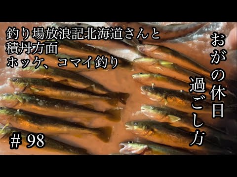 オガの休日過ごし方#98釣り場放浪記北海道さんと積丹方面ホッケ、コマイ釣り