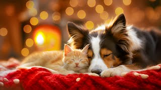 Anti-Stress Music for Dogs 🐾 Peaceful Sounds 🎶 Relax Nervous Pets with Soothing Melodies 💖