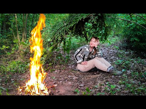 I made a Shelter of Hazel and Spruce branches. Too many Mosquitoes! Cooking over a Fire