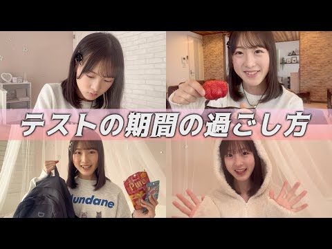 中1女子のテスト期間の過ごし方紹介します♪【かれん】