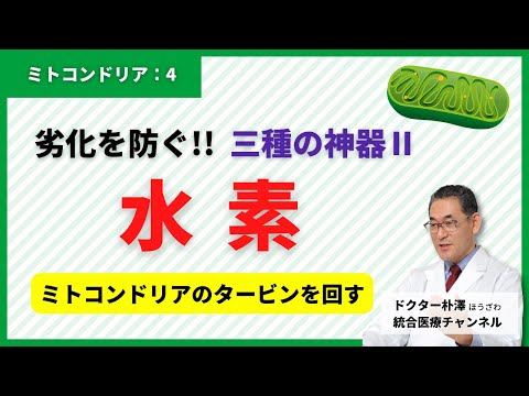 【医師解説：ミトコンドリア④】過酸化酸素による劣化を防ぐ！水素のお話。