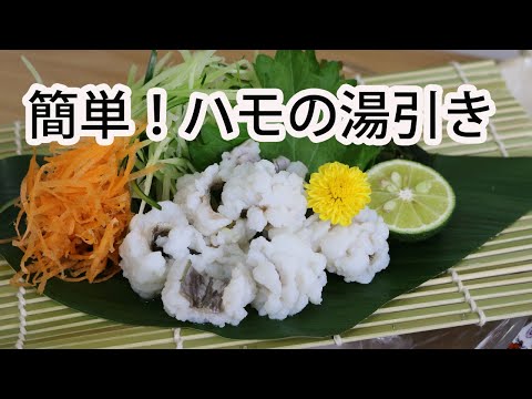 ハモの湯引きの作り方 pike conger