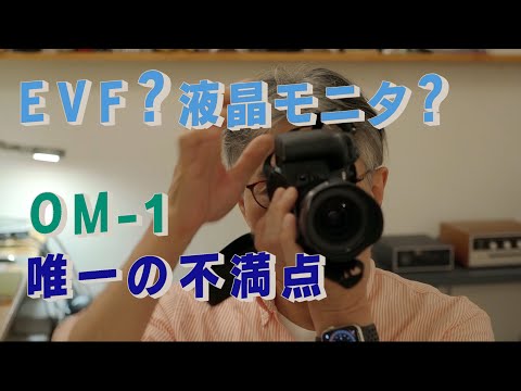 あなたはEVF派？それとも液晶モニタ派？　OMDSのＯＭ−１を使って感じる唯一の不満な点　Cocoroa通信その93