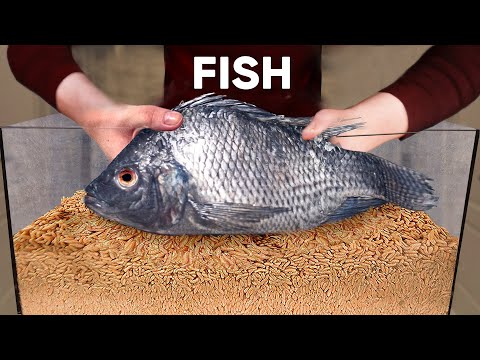 10 000 Maggots VS Fish | How Quickly The MAGGOTS Eat a Fish?