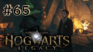 親友と探索 [ホグワーツ・レガシー/HOGWARTS・LEGACY] ＃６５