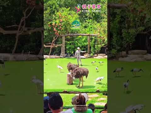 ＃富國島 ＃珍珠野生動物園