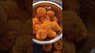 Tihar #happytihar #tihar2081 #shortvideo #fyp