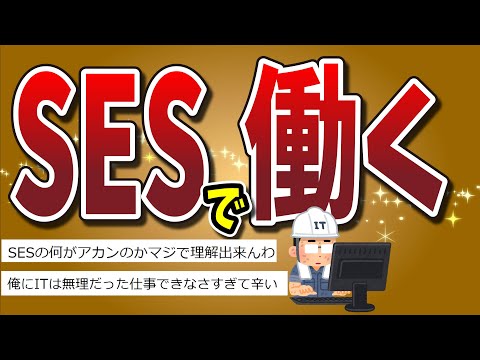 【２ちゃんねる】SESで働くってどうなん？？？？？？IT初めてだけどやめた方がいいの？？？？【ゆっくり解説】