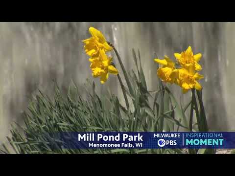 Milwaukee PBS Presents | Inspirational Moments | Mill Pond Park