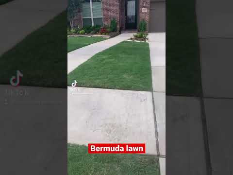 MOWING a customers  BERMUDA LAWN! #mowing #lawncare #grass