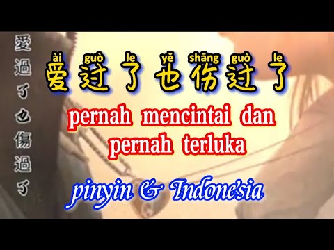 Ai Guo Le Ye Shang Guo Le 過了也傷過了 Pernah Mencintai dan Pernah Terluka Terjemahanan Indonesia