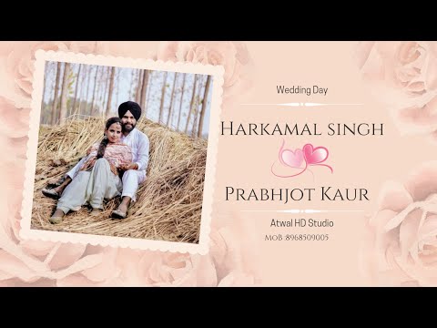 Live Shoot Wedding Day // Harkamal Singh Weds Prabhjot Kauri // Atwal HD Studio MoB :8968509005