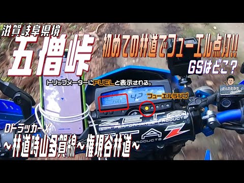 【DトラッカーX #133】モタードで行く滋賀岐阜県境五僧峠　林道時山多賀線と権現谷林道　ガス欠ヒヤヒヤ」燃費走りツーリング【滋賀】【岐阜】【林道ツーリング】