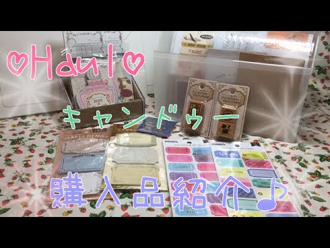 ♡Haul♡キャンドゥー♡購入品紹介