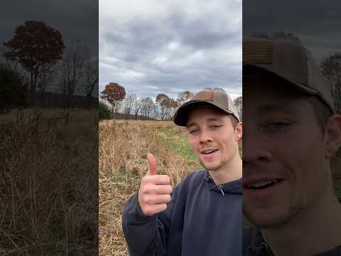 Organic Soybean Harvest