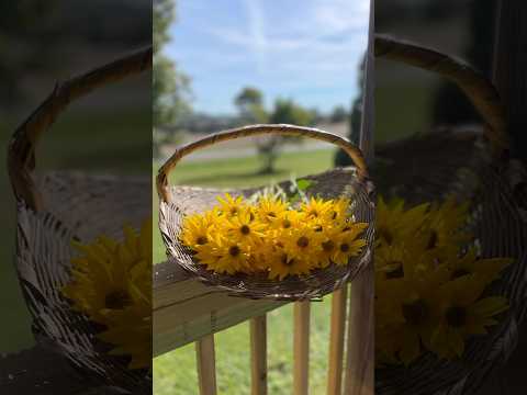 Flower arranging from gathered blooms. #homesteadlifestyle #homestead #flowers #blooms #bouquet