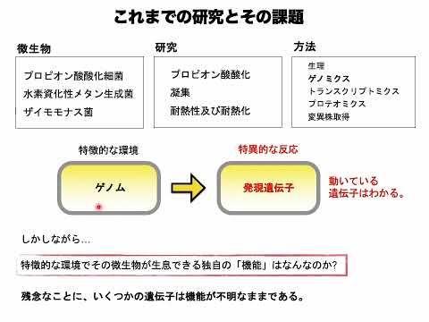 【山口大学OC2024／農学部／生物機能科学科】10 微生物機能学分野