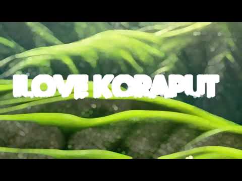 I love Koraput #shortvideo #video #shortsvideo