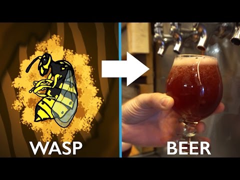 Beer Made With Wasp Guts!!