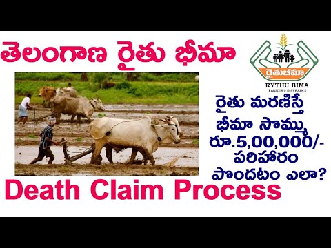 Telangana Rythu Bheema Death Claim Process!రైతు భీమా పరిహారం! How to Claim Rythu Bheema Telangana