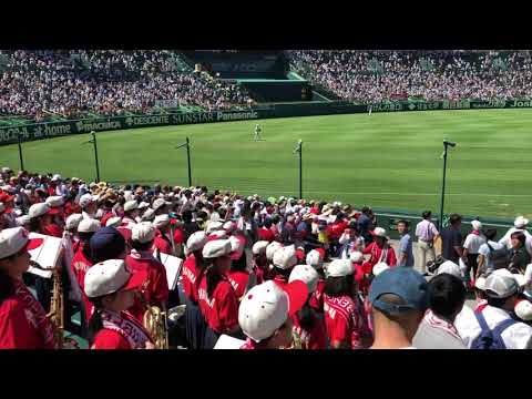 シロクマ 楽しそうな応援団 智弁和歌山 2019甲子園応援