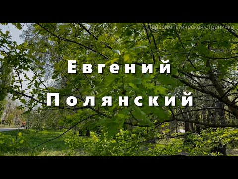 Евгений Полянский, красивая музыка  Что наша жизнь  Музыка для души