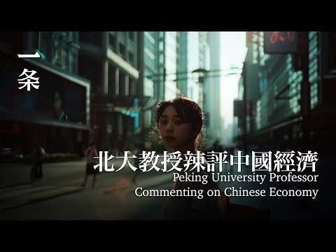 撞上痛苦的經濟調整時代，年輕人還要「撐」多久？Peking University Professor Commenting on Chinese Economy