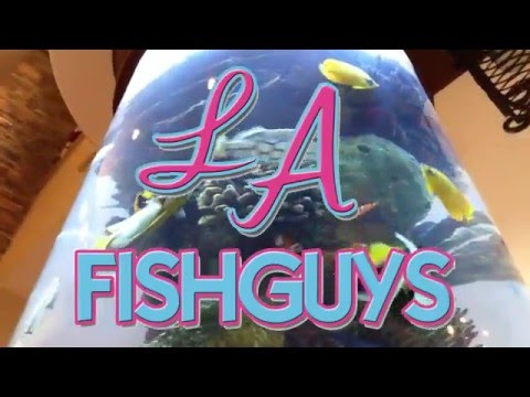 Setting up my 180 gallon Glass Coral Reef Tank, LA Fishguys Episode 151 part 2