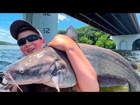 Catfish And Skipjack Fishing On The Tennessee River!