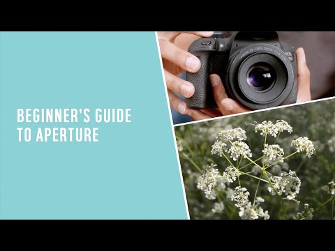 Beginner's guide to aperture at Argos