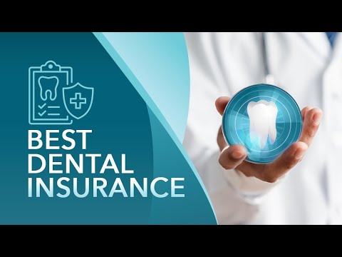 The Best Dental Insurance Plans & Companies Of 2024.