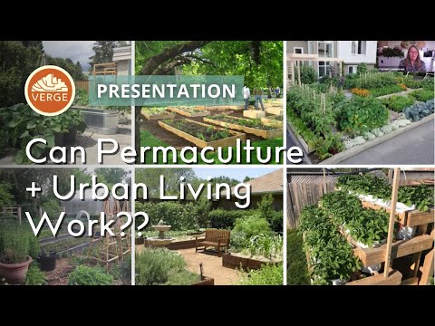 Can Permaculture Thrive in an Urban Environment?