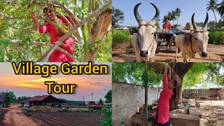 Village garden tour | இயற்கைகுள் ஓர் உலா | Garden tour in Tamil