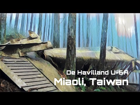 GoSunbody｜苗栗向天湖山，尋找沈睡山中的海狸De Havilland U-6A