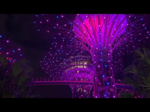 01- lifestyle - 00018 - Skyway@ Gardens by the Bay 空中步道 Singapore Top 20 Weekend Activities! 最佳週末活動